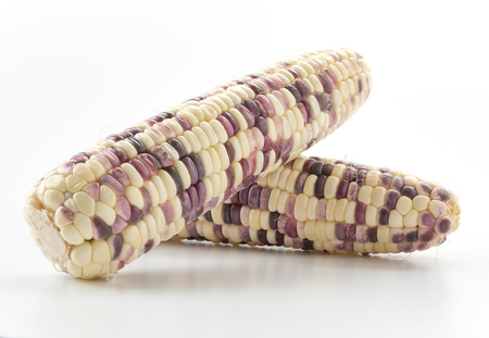 Waxy corn on white backgroundの写真素材