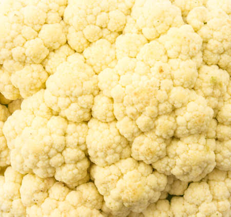 Fresh Cauliflower on white backgroundの写真素材