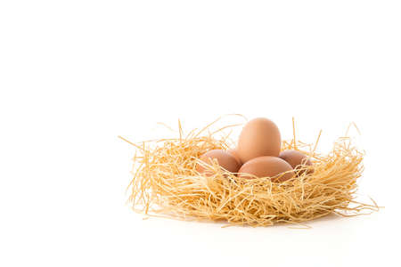 hen egg on white backgroundの写真素材