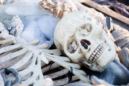 Skull or Genocidesの写真素材