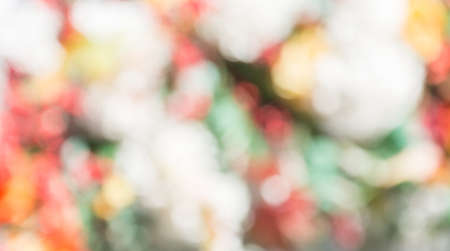 bokeh light for backgroundの写真素材