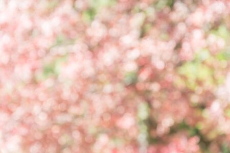 bokeh light for backgroundの写真素材