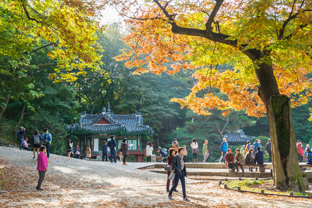 Seoul , South Korea, 2015 October 27 -Beautiful and Old Architecture in Changdeokgung Palace in Seoul City at Koreaのeditorial素材