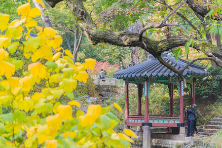 Beautiful and Old Architecture in Changdeokgung Palace in Seoul City at Koreaのeditorial素材