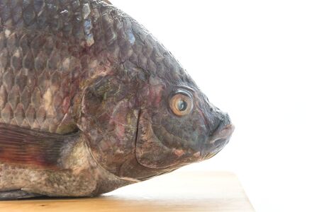 Black Tilapia or Tilapia on wood board
