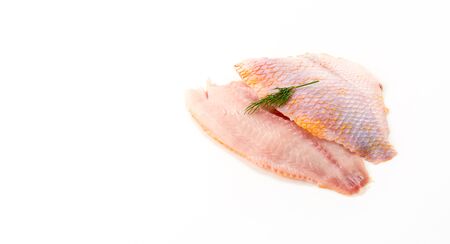 tilapia raw on white backgroundの写真素材