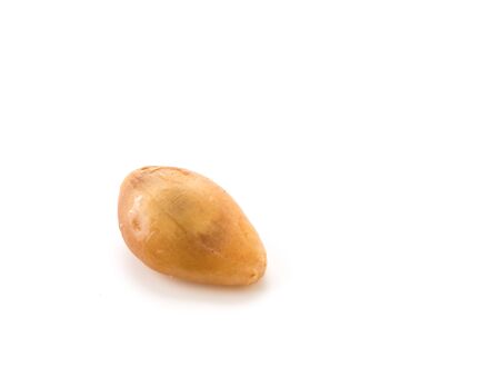 fresh zalacca on white backgroundの写真素材