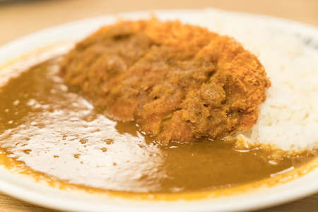 curry rice with fried porkの写真素材