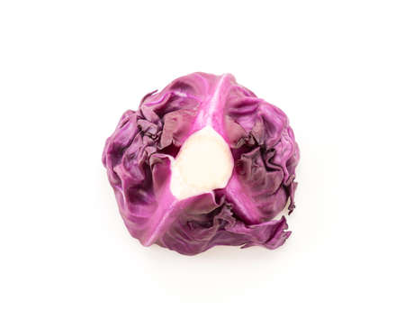 Purple cabbage on white backgroundの写真素材