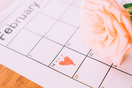 rose on the calendar with the date of February 14 Valentine's day - sweety effect picture styleの写真素材