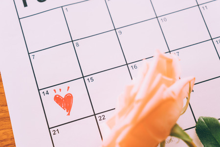 rose on the calendar with the date of February 14 Valentine's day - sweety effect picture styleの写真素材