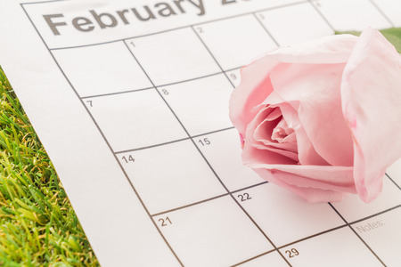 rose on the calendar with the date of February 14 Valentine's dayの写真素材