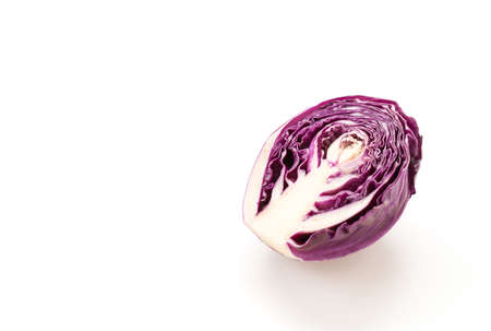 Purple cabbage on white background
