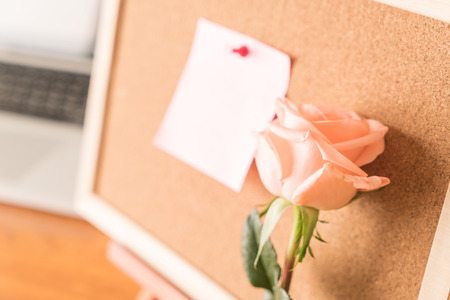 rose with paper note on boardの写真素材