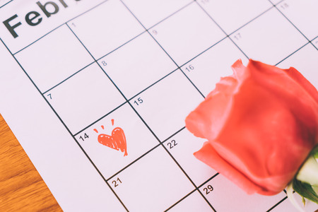 rose on the calendar with the date of February 14 Valentine's day - sweety effect picture styleの写真素材