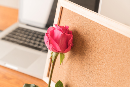 rose with paper note on boardの写真素材