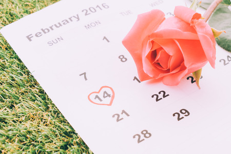 rose on the calendar with the date of February 14 Valentine's day - sweety effect picture styleの写真素材