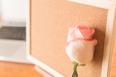 rose with paper note on boardの写真素材
