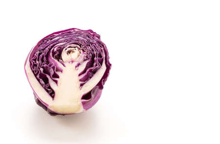 Purple cabbage on white backgroundの写真素材