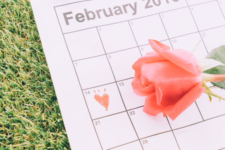 rose on the calendar with the date of February 14 Valentine's day - sweety effect picture styleの写真素材