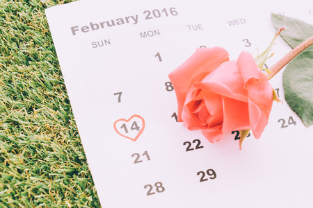 rose on the calendar with the date of February 14 Valentine's day - sweety effect picture styleの写真素材