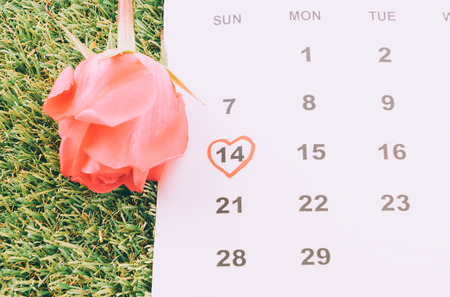 rose on the calendar with the date of February 14 Valentine's day - sweety effect picture styleの写真素材