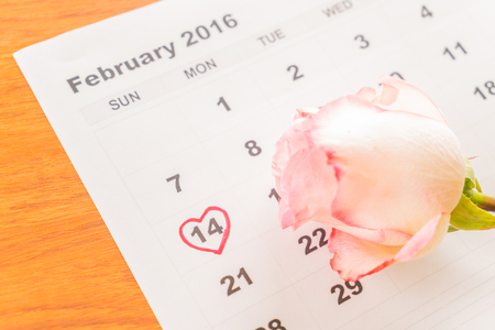 rose on the calendar with the date of February 14 Valentine's day - sweety effect picture styleの写真素材