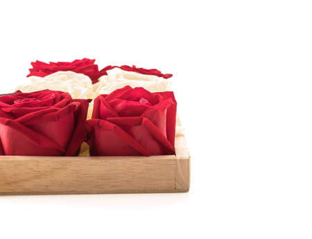 white and red rose on white backgroundの写真素材