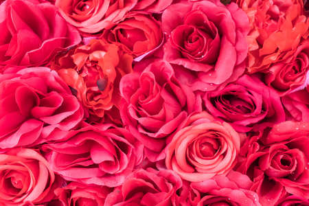 bouquet flowers - soft focus effect picture styleの写真素材