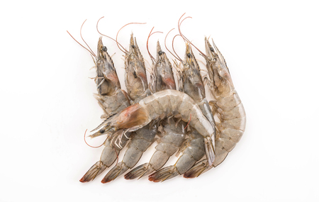 fresh shrimp/prawn on white backgroundの写真素材