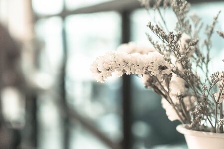 statice flower bouquet - selective focus point and vintage filter effectの写真素材