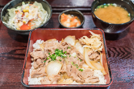 rice topped with slice pork - japanese foodの写真素材
