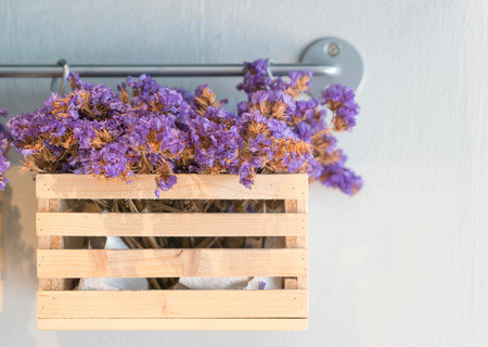 Caspia for Filler Flowers decoration on wallの写真素材