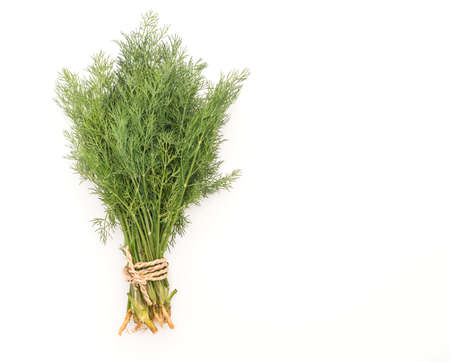 Fresh Dill Weed on white backgroundの写真素材
