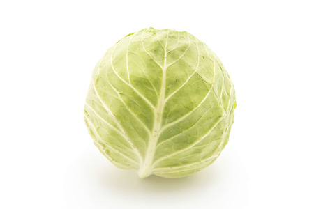 fresh cabbage on white backgroundの写真素材
