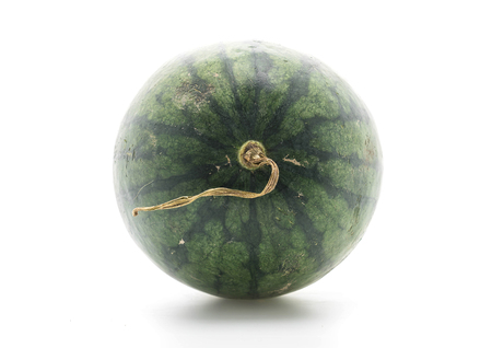 fresh watermelon on white backgroundの写真素材