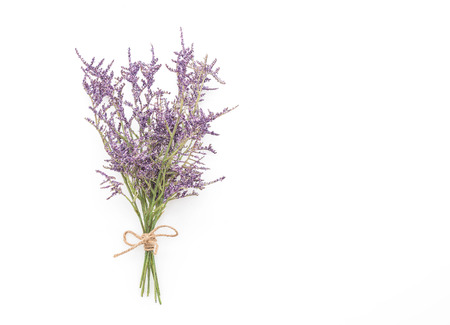 Plastic Caspia Flowers on white background