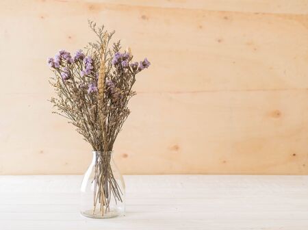 statice and caspia flowers in vaseの写真素材