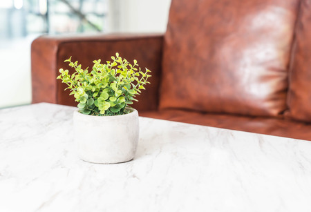 tree in pot decoration on the table in living room - with sunflare effectの写真素材