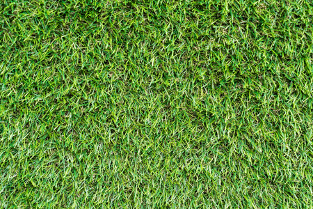 artificial grass for background with copy spaceの写真素材