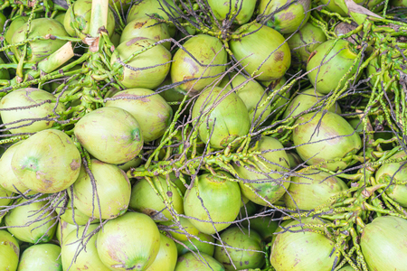 fresh coconuts texture or background