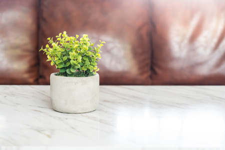 tree in pot decoration on the table in living room - with sunflare effectの写真素材