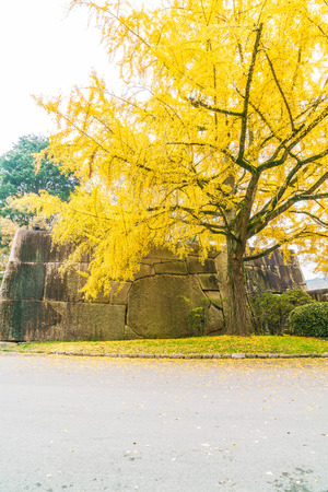 Image of area at Osaka castle in Japan.のeditorial素材