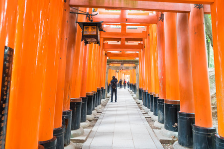 KYOTO - NOV 24 2016 : Torii Gateways in Fushimi Inari Taisha Shrine in Kyoto, Japan.のeditorial素材
