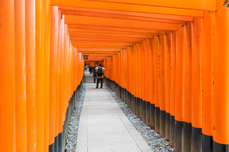KYOTO - NOV 24 2016 : Torii Gateways in Fushimi Inari Taisha Shrine in Kyoto, Japan.のeditorial素材