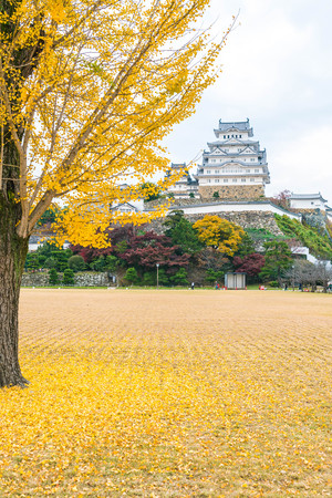 Beautiful Architecture Himeji Castle in Hyogo Prefecture, Japan,のeditorial素材