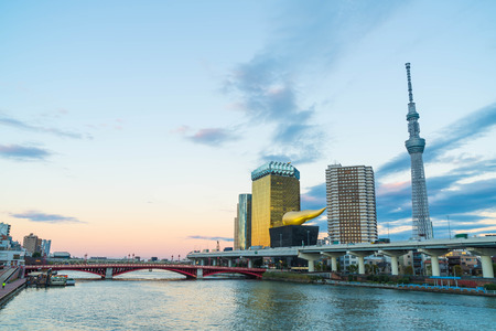 View of Sumida River with Tokyo City