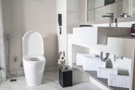 Toilet seat decoration in bathroom interior - Vintage Light Filterのeditorial素材