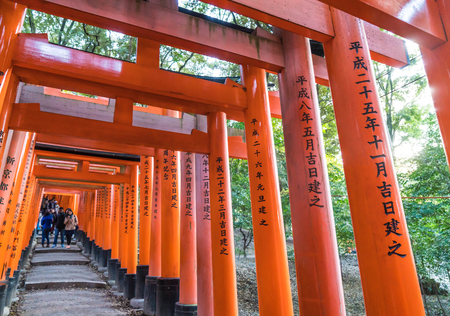 KYOTO, JAPAN - NOV 23, 2016: Torii Gateways in Fushimi Inari Taisha Shrine in Kyoto, Japan.のeditorial素材