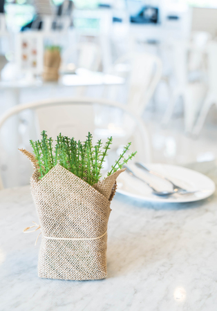 plant decoration on dinning tableの写真素材